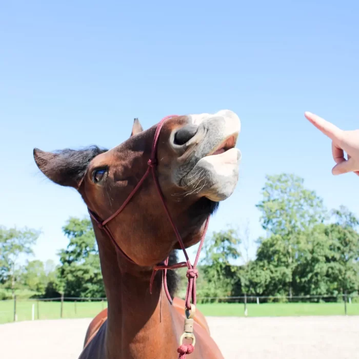 22190bb7-a23c-4677-a79d-624d469cbd18