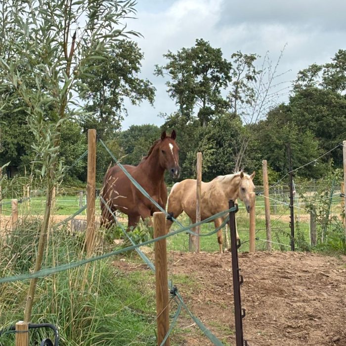 5b5025b5-1586-4d60-89ac-7d918aef1345