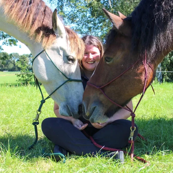 8d29d637-9ec1-467e-a99b-2e2c3670fa50