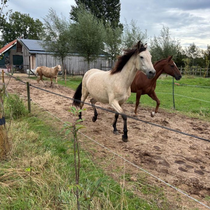 d75c0424-5684-4000-93bc-2f38e4114552