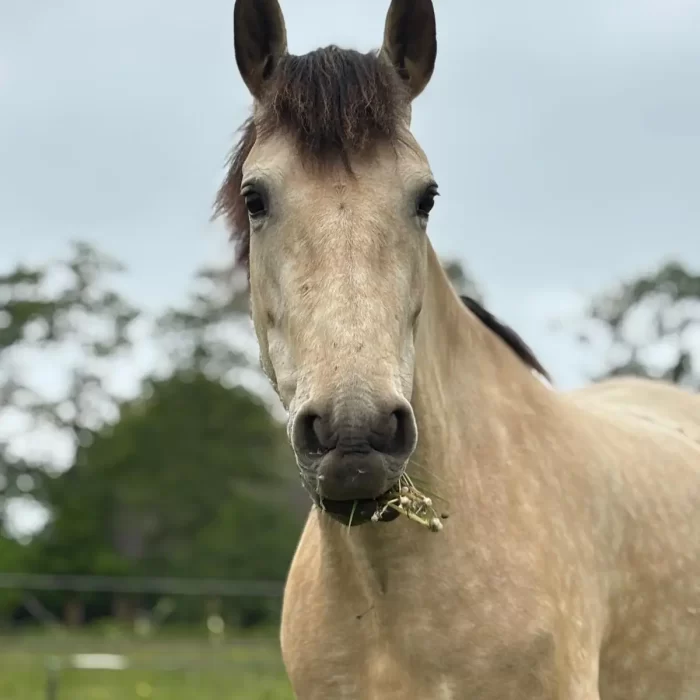 ee40bce2-0c74-427d-b0a3-d39891eb70d1